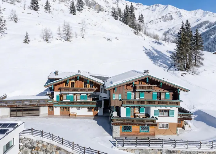 Andre 2 Wald im Pinzgau